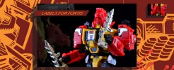 Labels for MMC Fortis