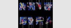 Labels for AoE Leader Optimus Prime