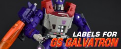 Labels for GS Galvatron