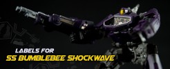 Labels for SS BB Shockwave...