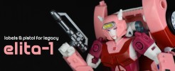 Labels and Pistol for Legacy Elita-1