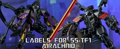 Labels for SS-TF1 Airachnid