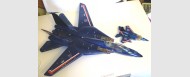 Skystriker XP-21F 'Thundercracker' Custom Set