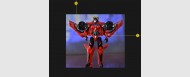 Labels for TR Windblade